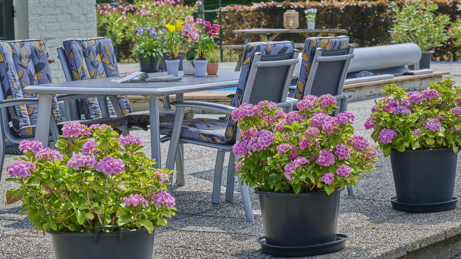 De Vrije Vogel-Parkfaciliteiten