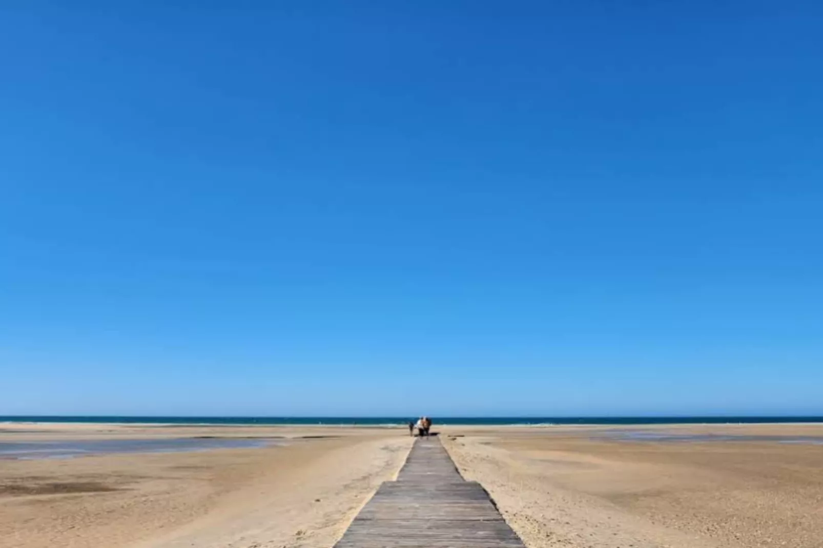 4637- +34696547830-Gebieden zomer 5km