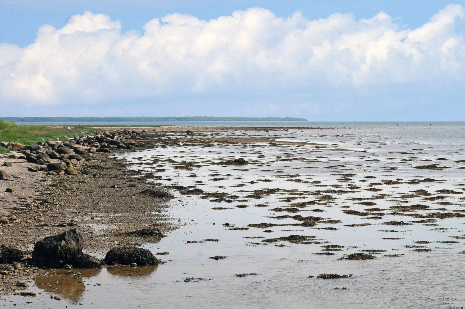 4 persoons vakantie huis in Odder-Waterzicht