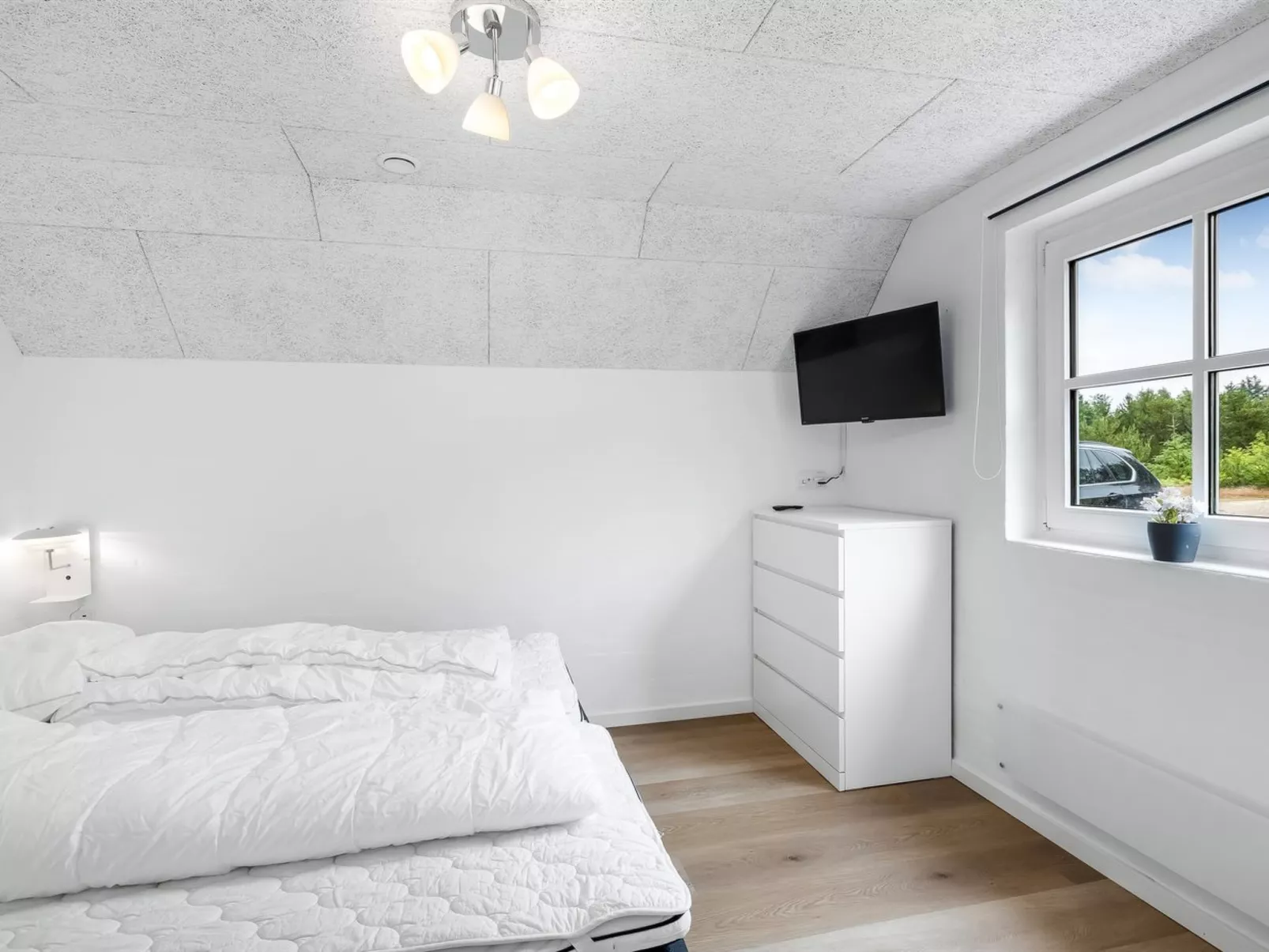 "Aivars" -  from the sea-Binnen