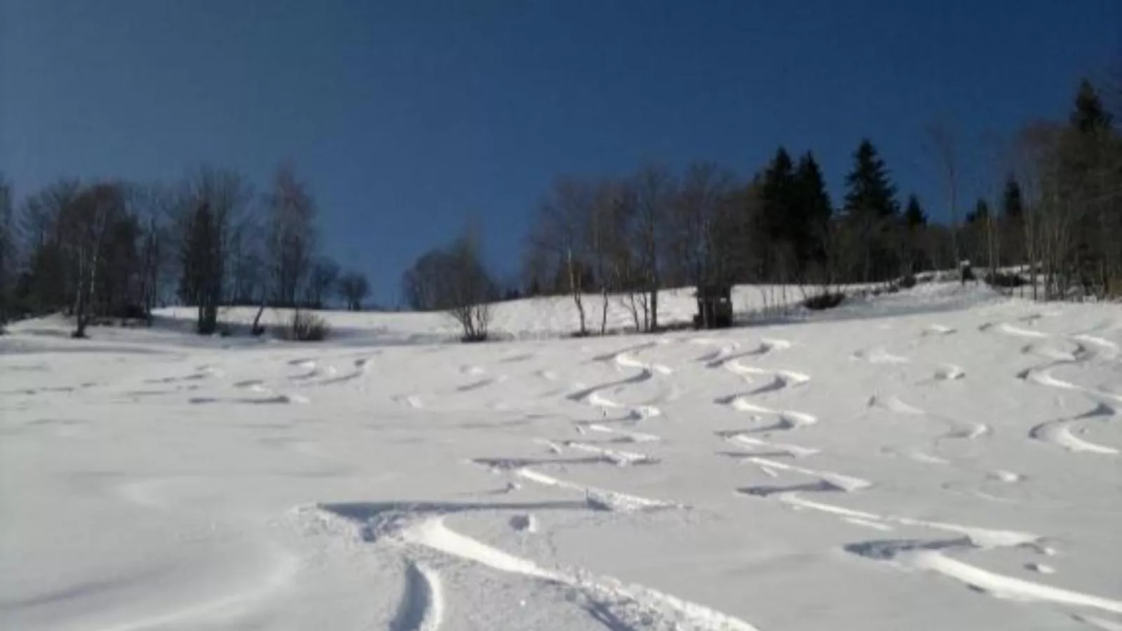 Murblick-Gebied winter 20km