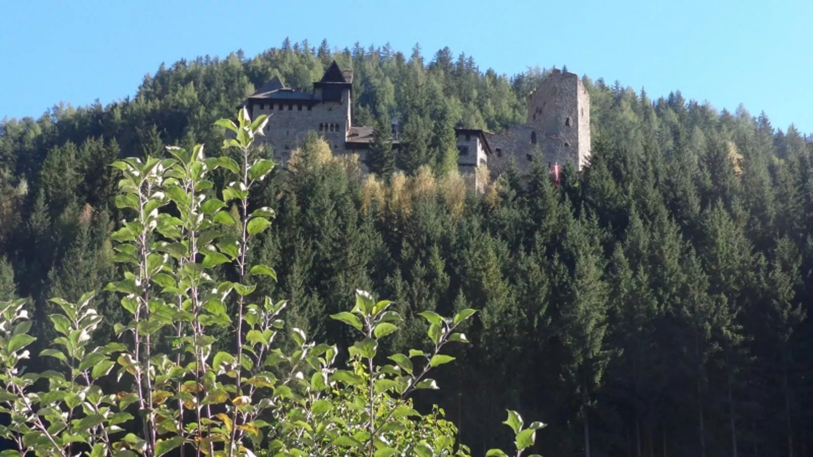 Schloßblick-Uitzicht zomer