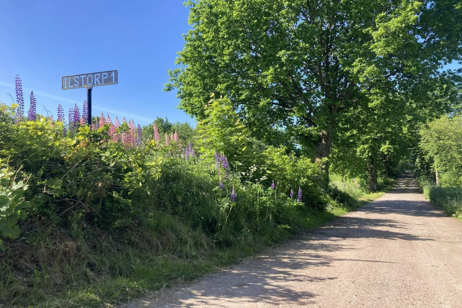 4 sterren vakantie huis in BRÖSARP-Buitenlucht