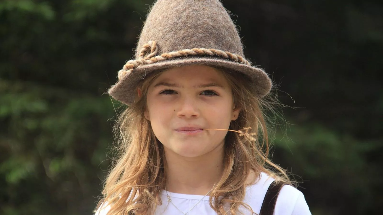 Goldhänchen-Gebieden zomer 20km