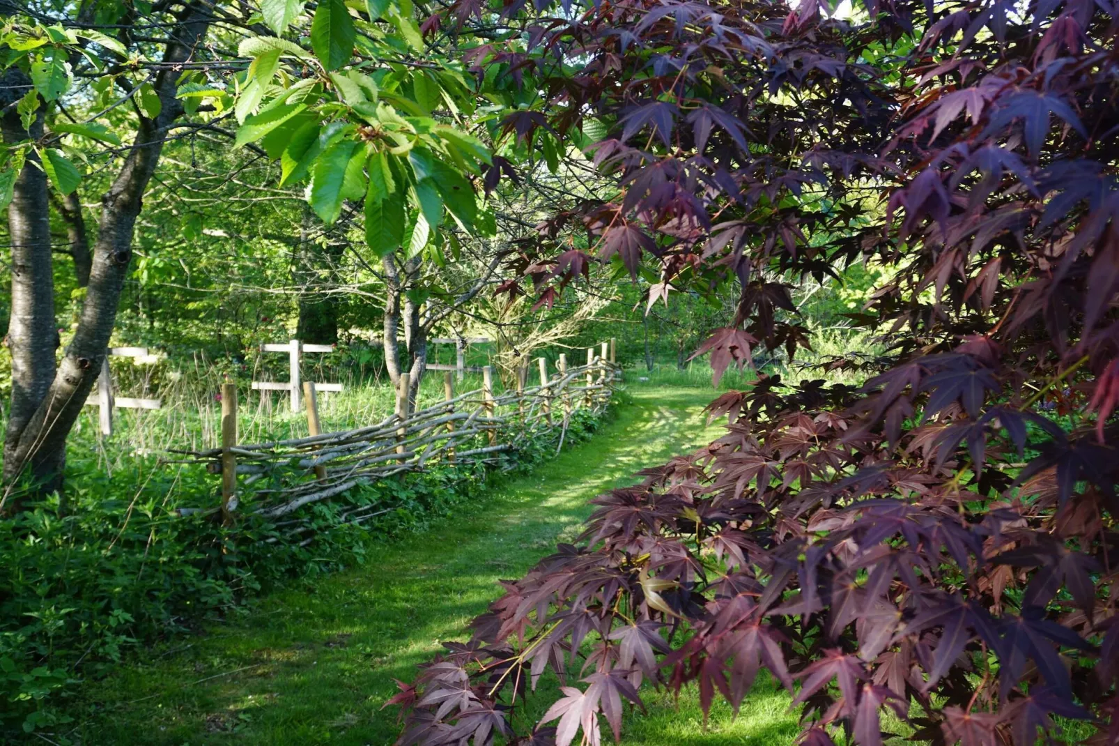 4 sterren vakantie huis in BRÖSARP-Buitenlucht