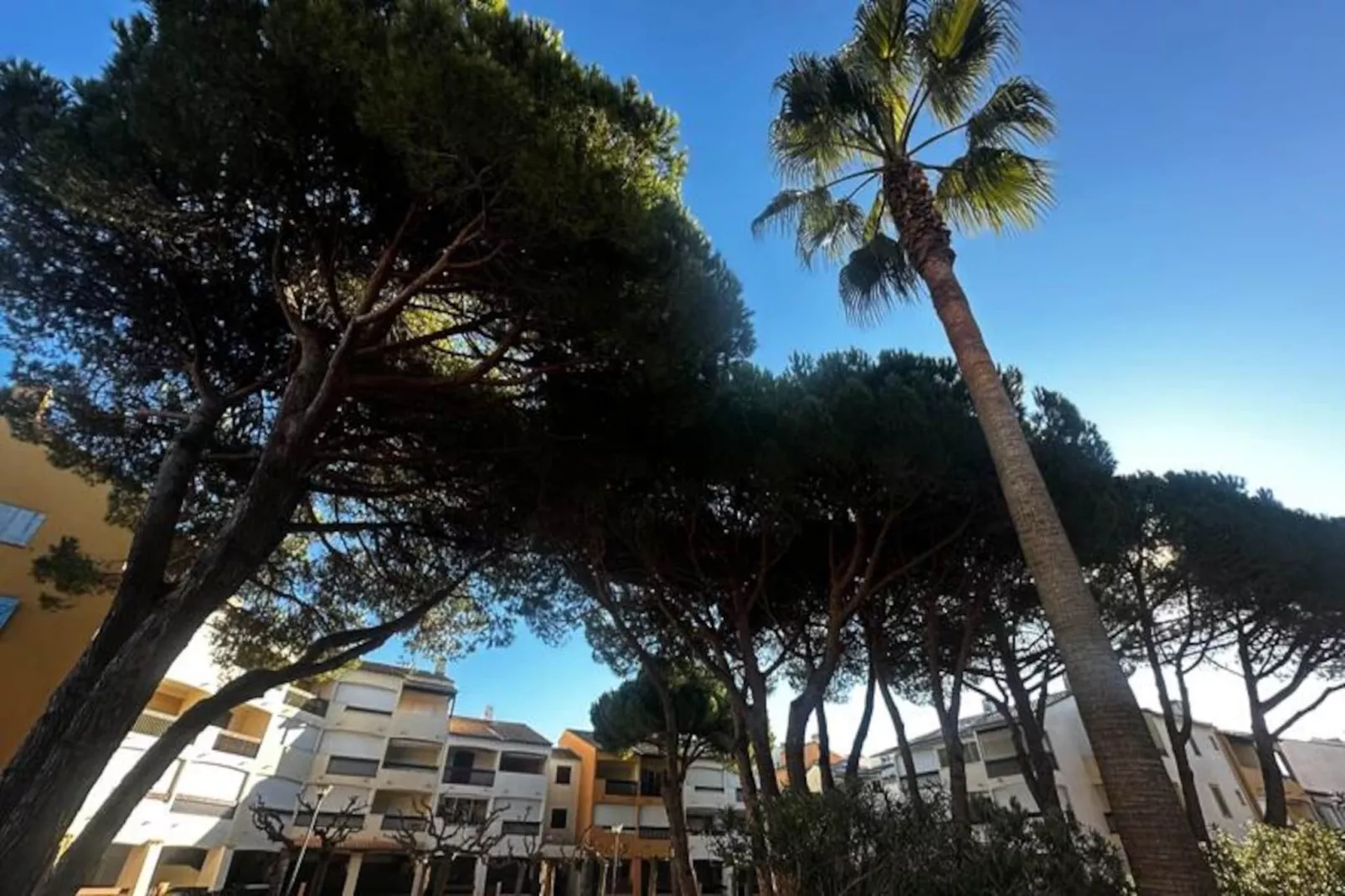 Résidence Appartement Camargue Village &agrave; Deux Pas De La Plage Du Boucanet-Niet-getagd