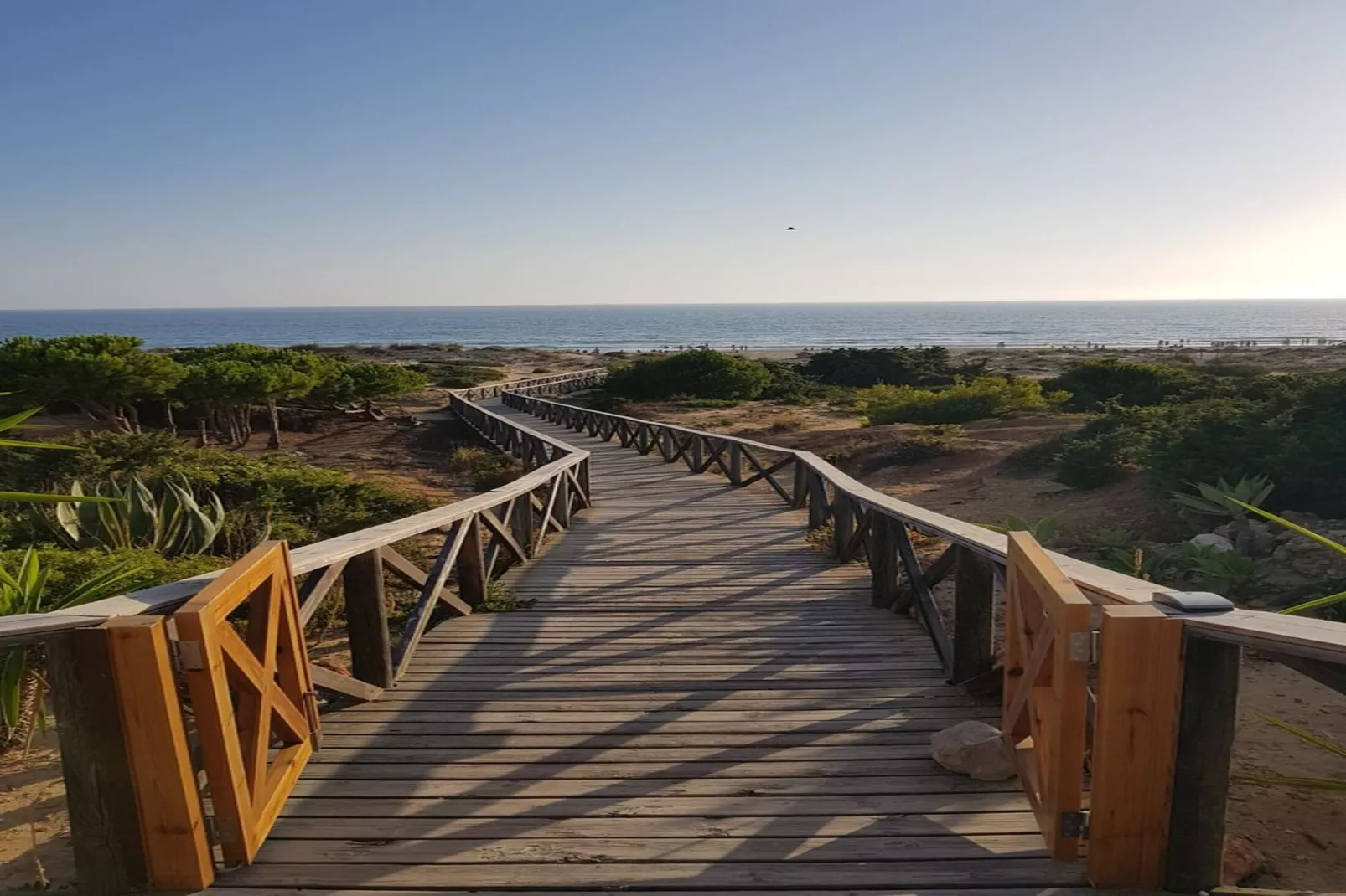 4976- +34636021638-Gebieden zomer 20km