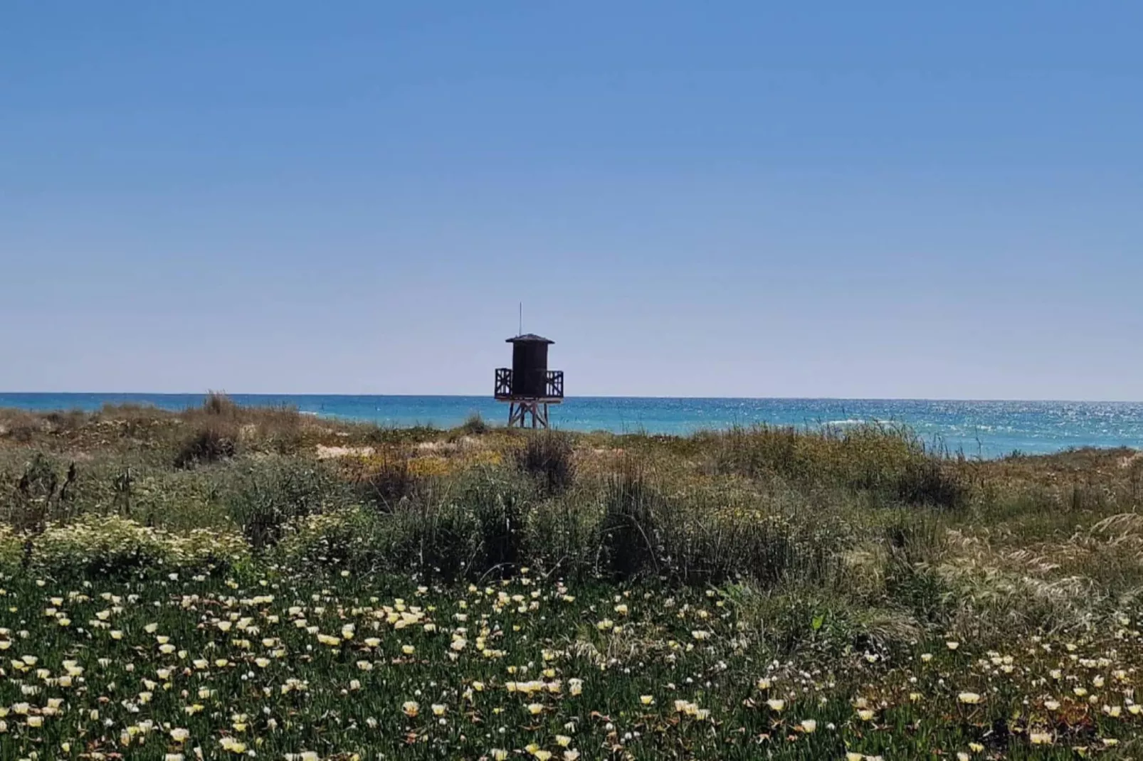 1763-+34630212745-Gebieden zomer 5km