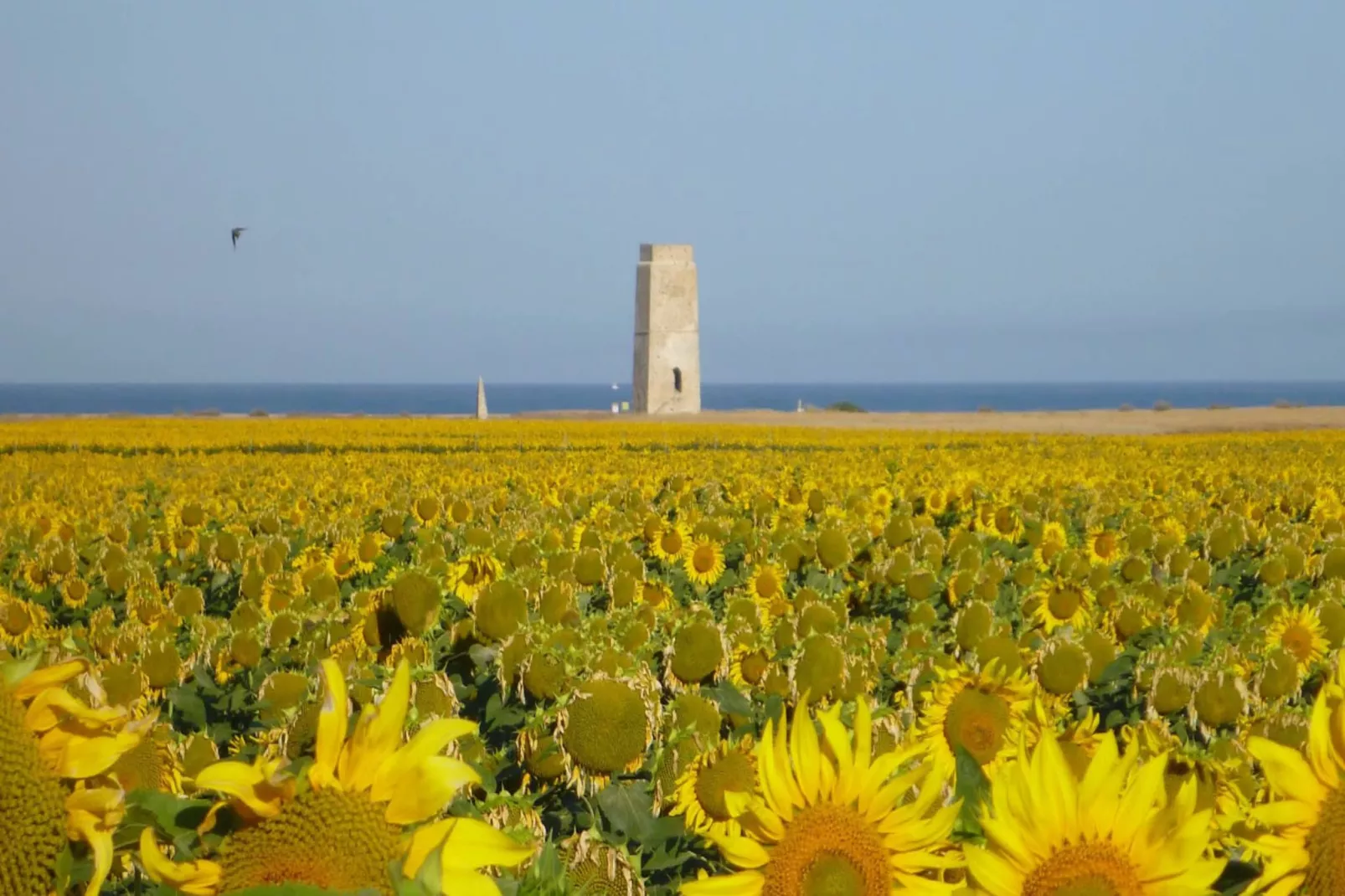 1763-+34630212745-Gebieden zomer 5km