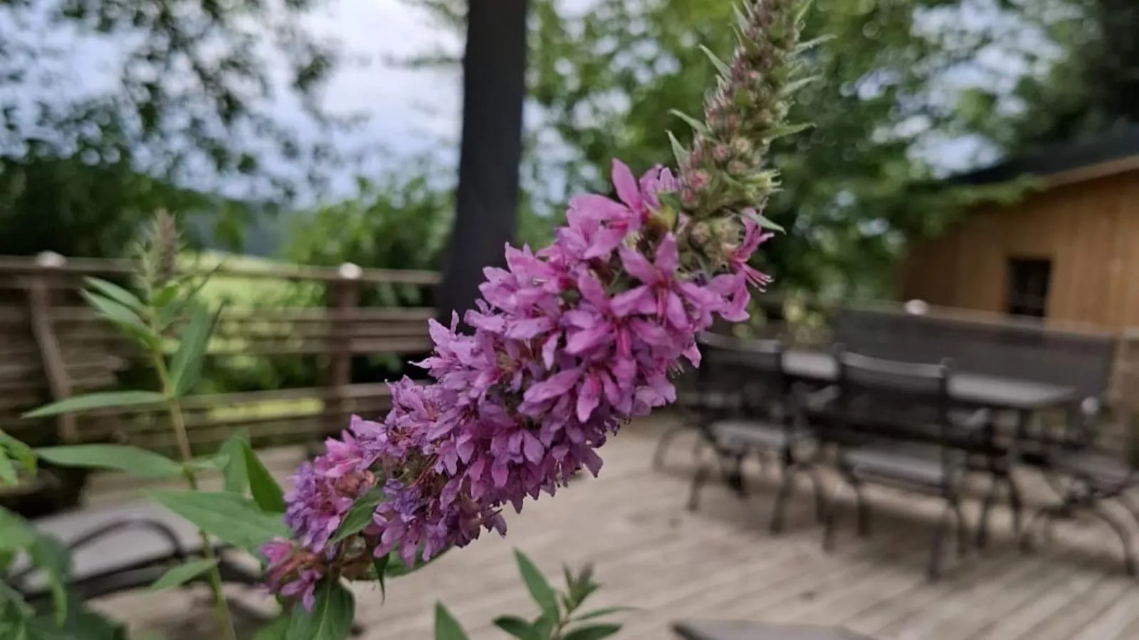 Bernhardsberg-Terrasbalkon