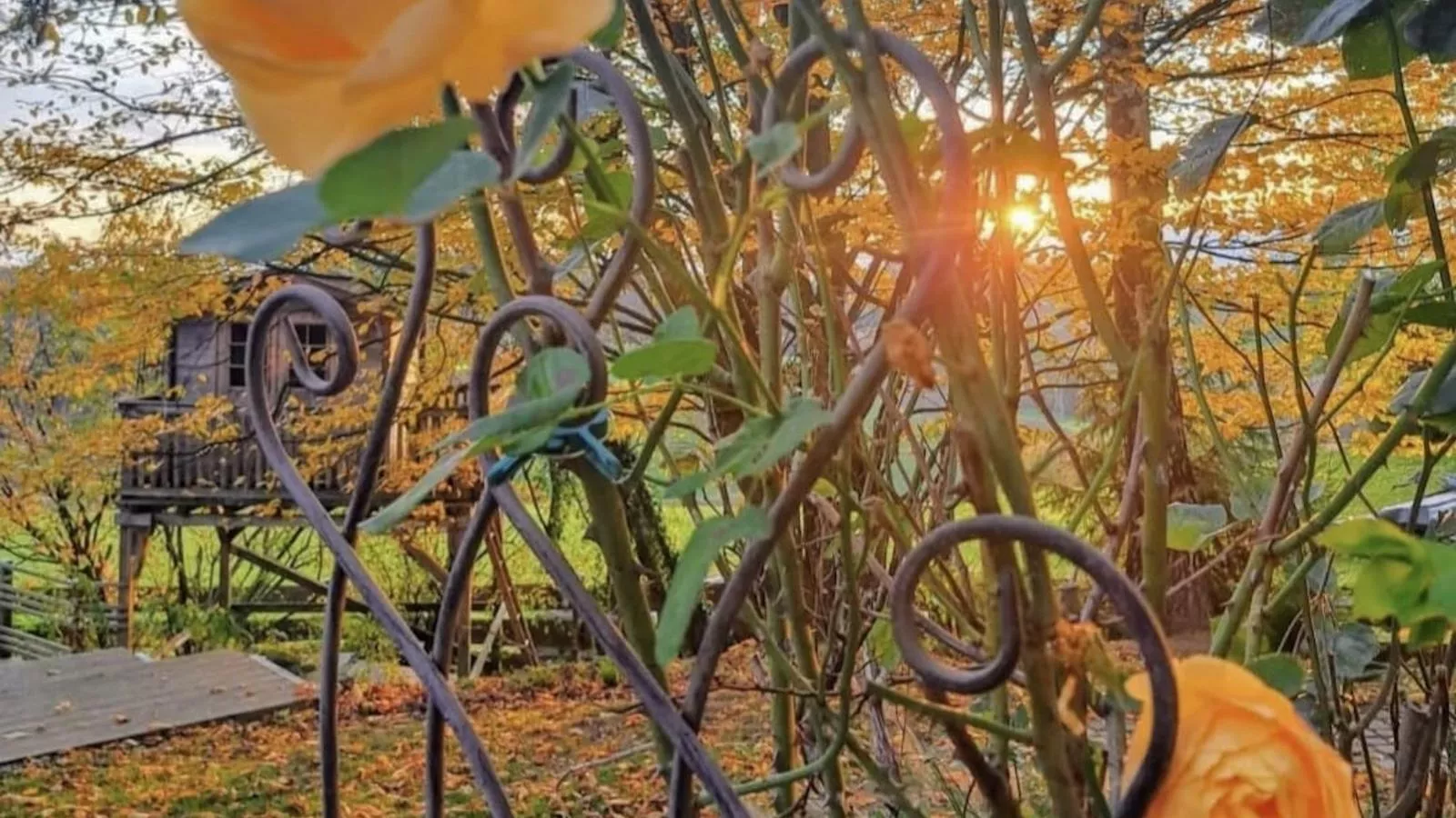 Bernhardsberg-Tuinen zomer