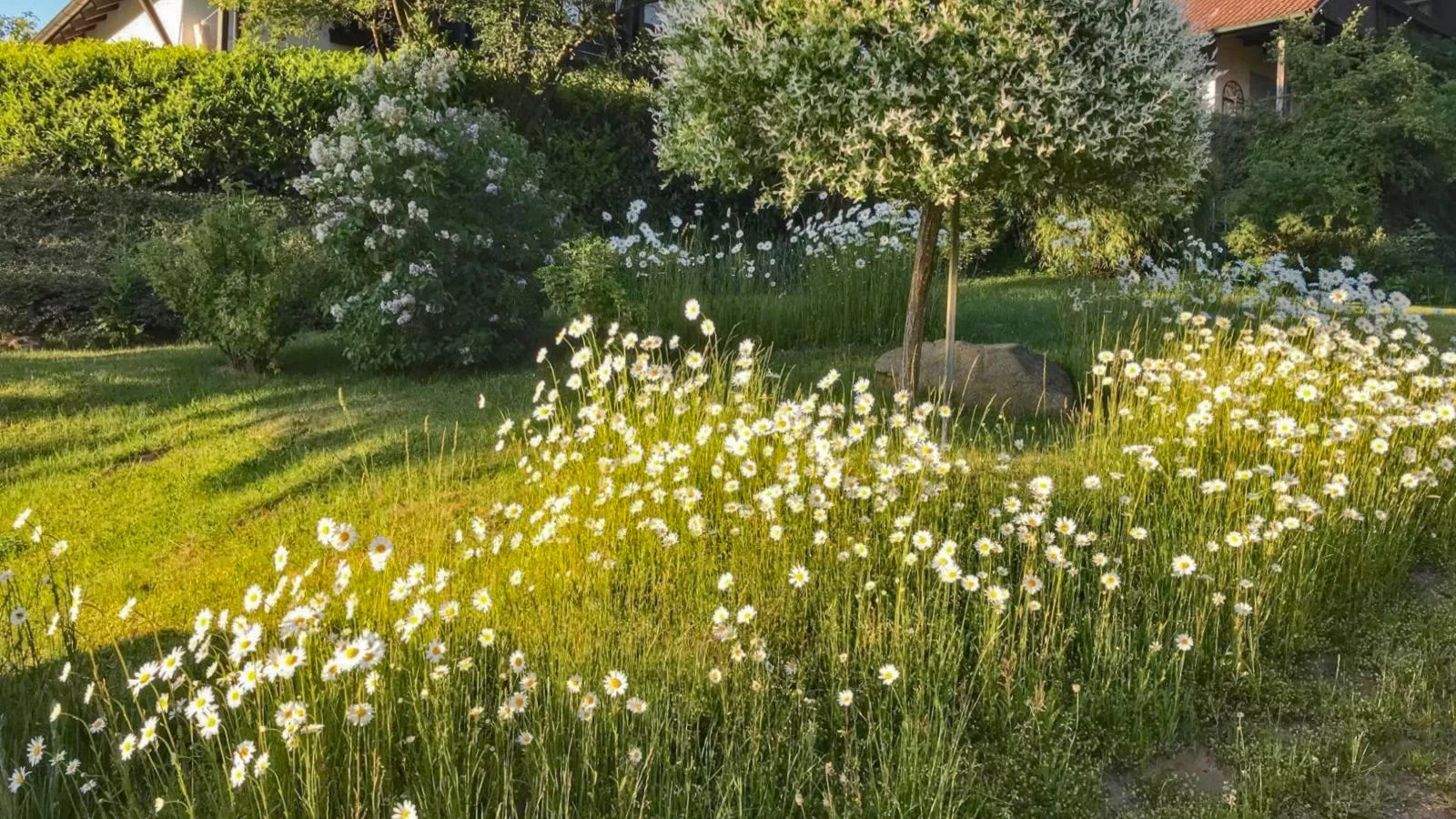 Böhmerwaldnest-Tuinen zomer