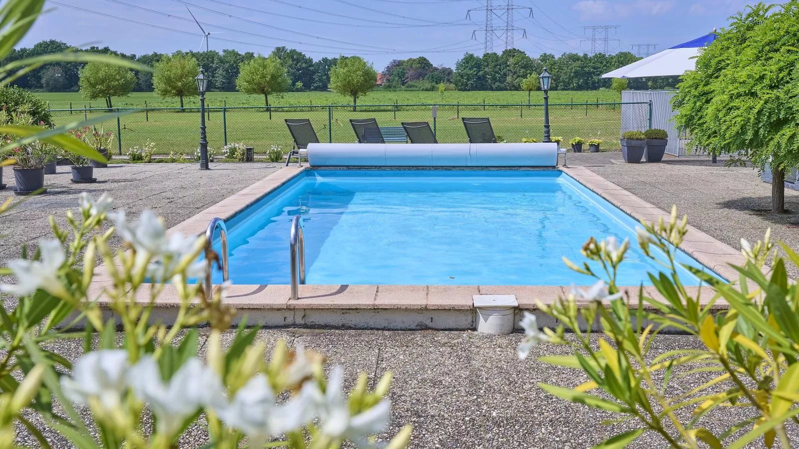 De Vrije Vogel-Zwembad