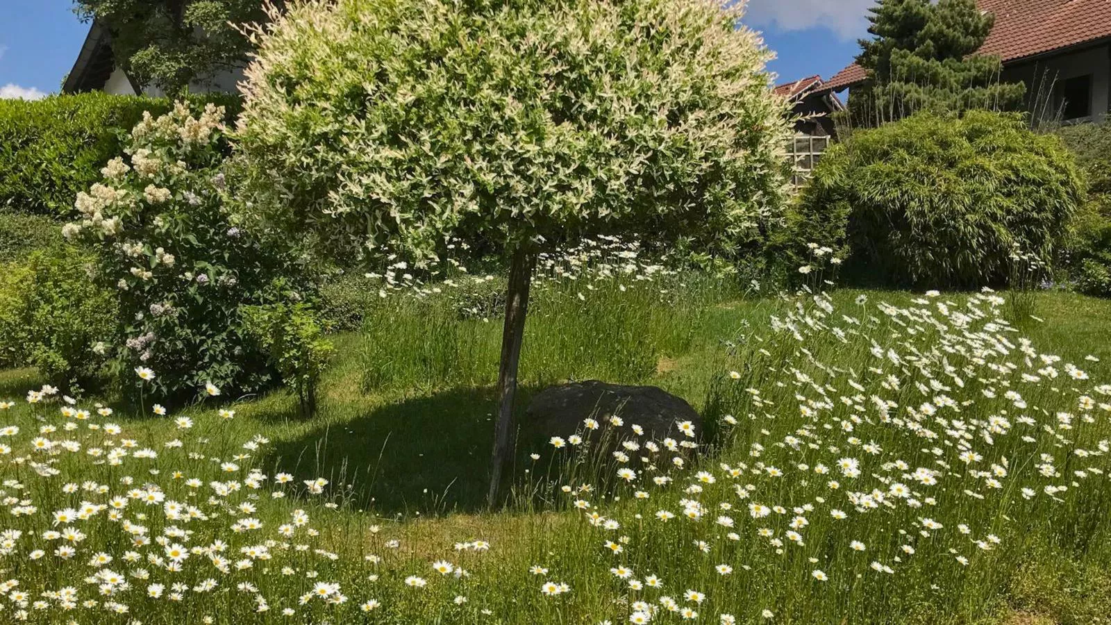 Böhmerwaldnest-Tuinen zomer