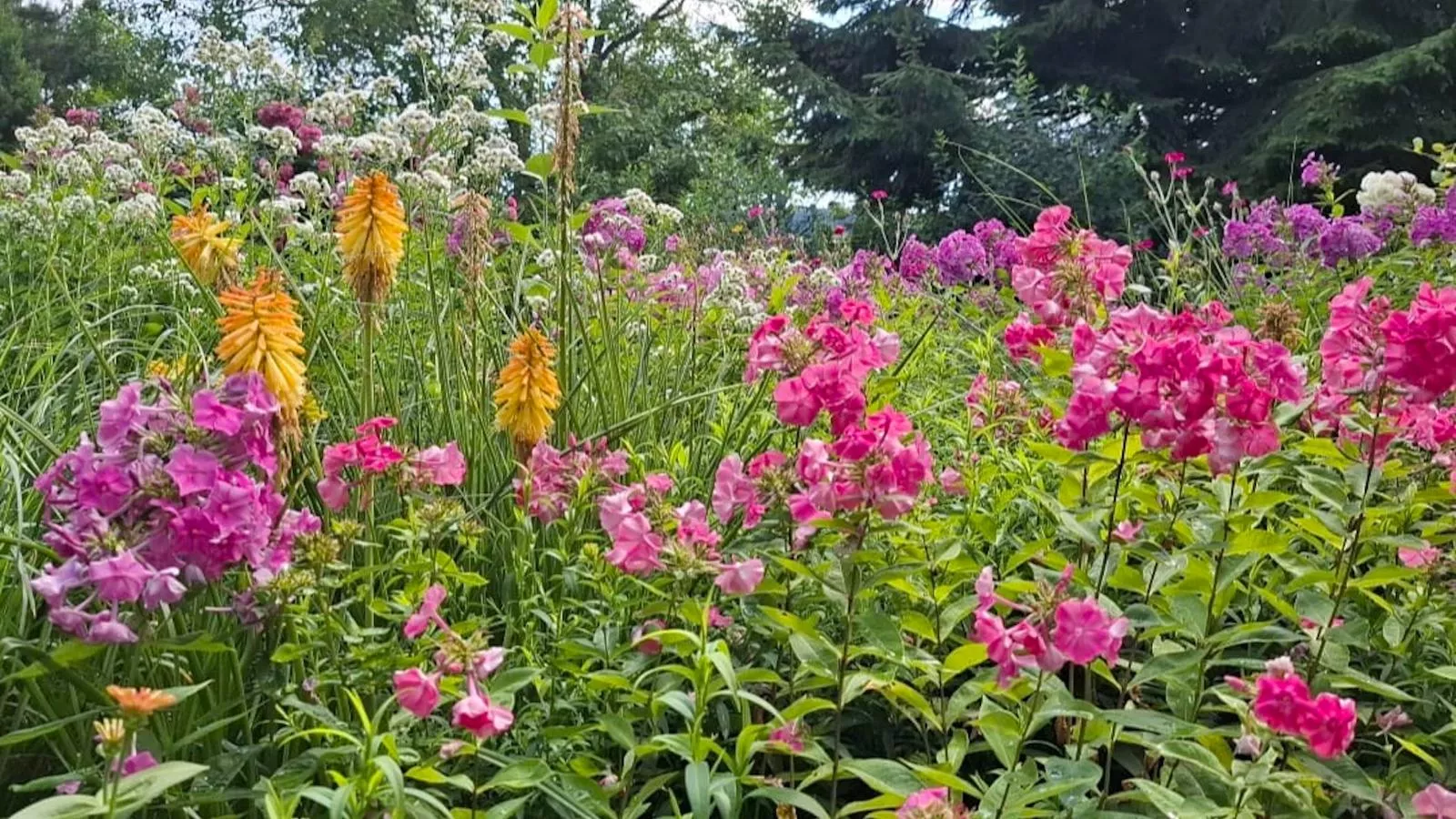 Bernhardsberg-Tuinen zomer