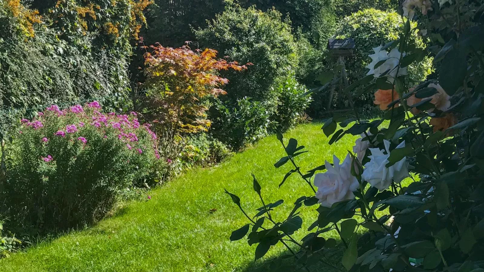 Böhmerwaldnest-Tuinen zomer
