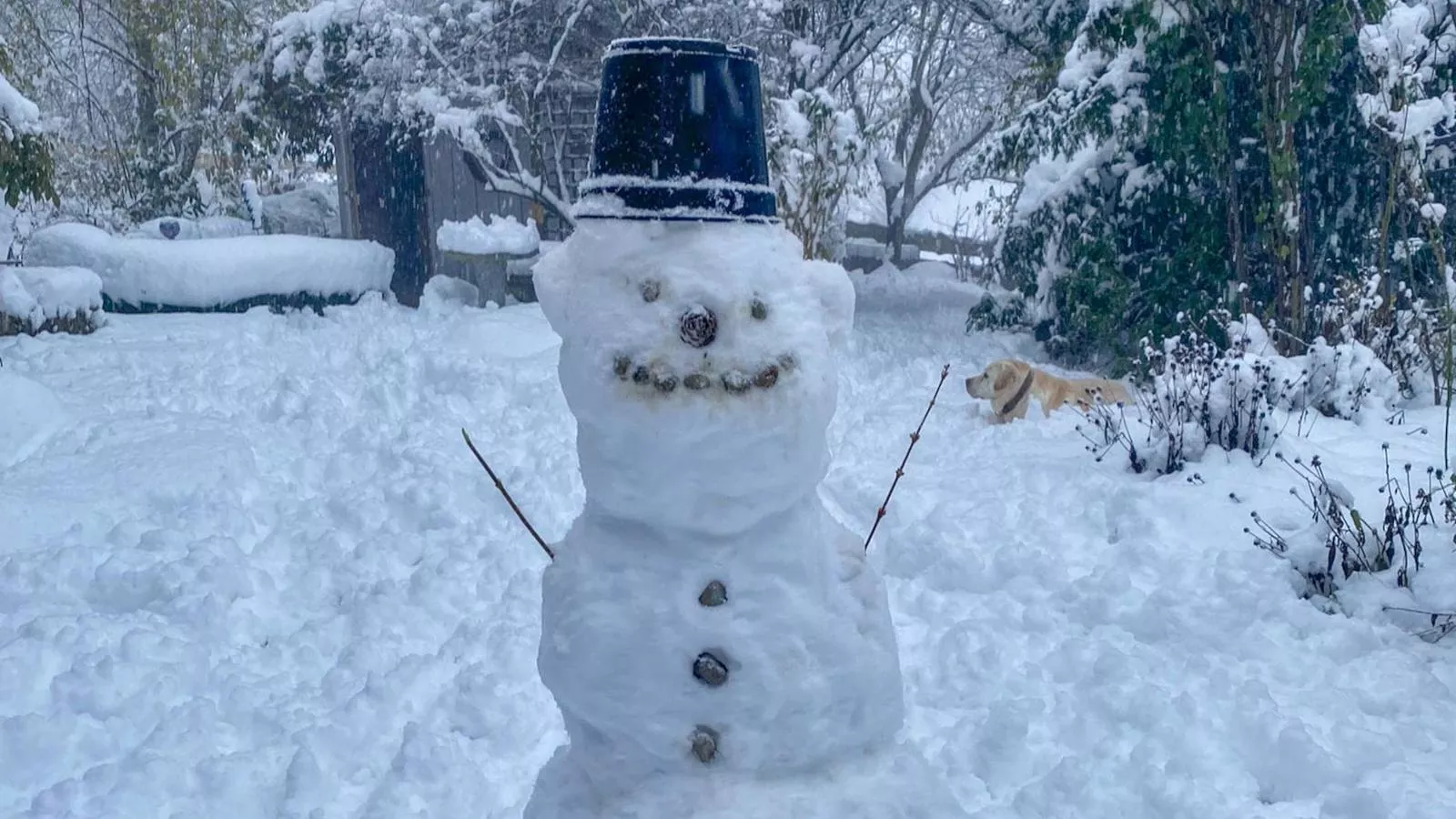 Bernhardsberg-Tuin winter