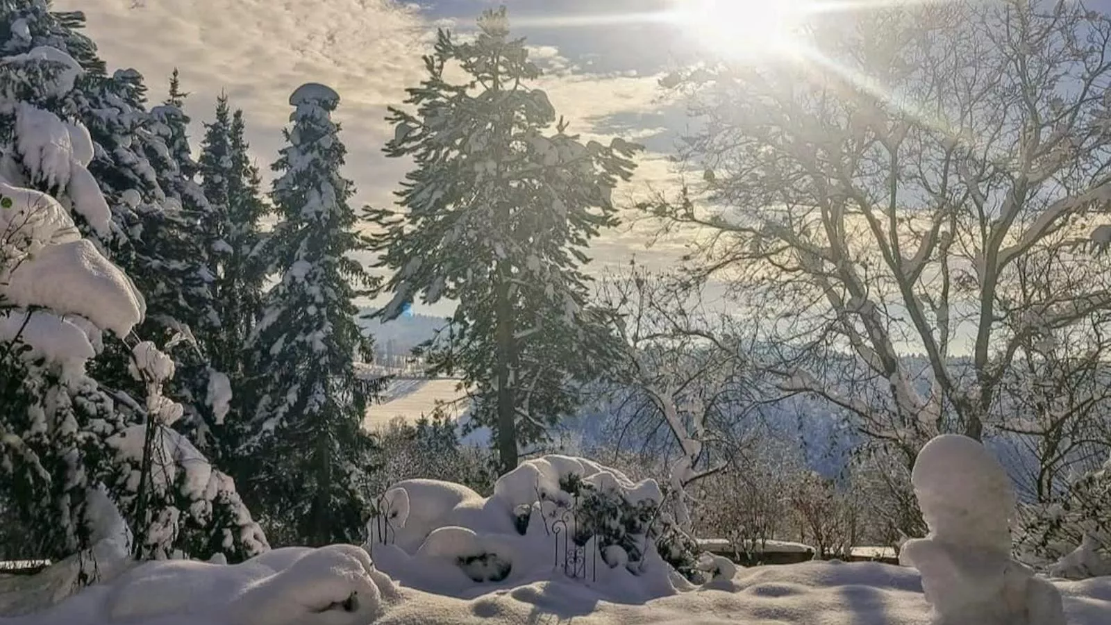 Bernhardsberg-Uitzicht winter