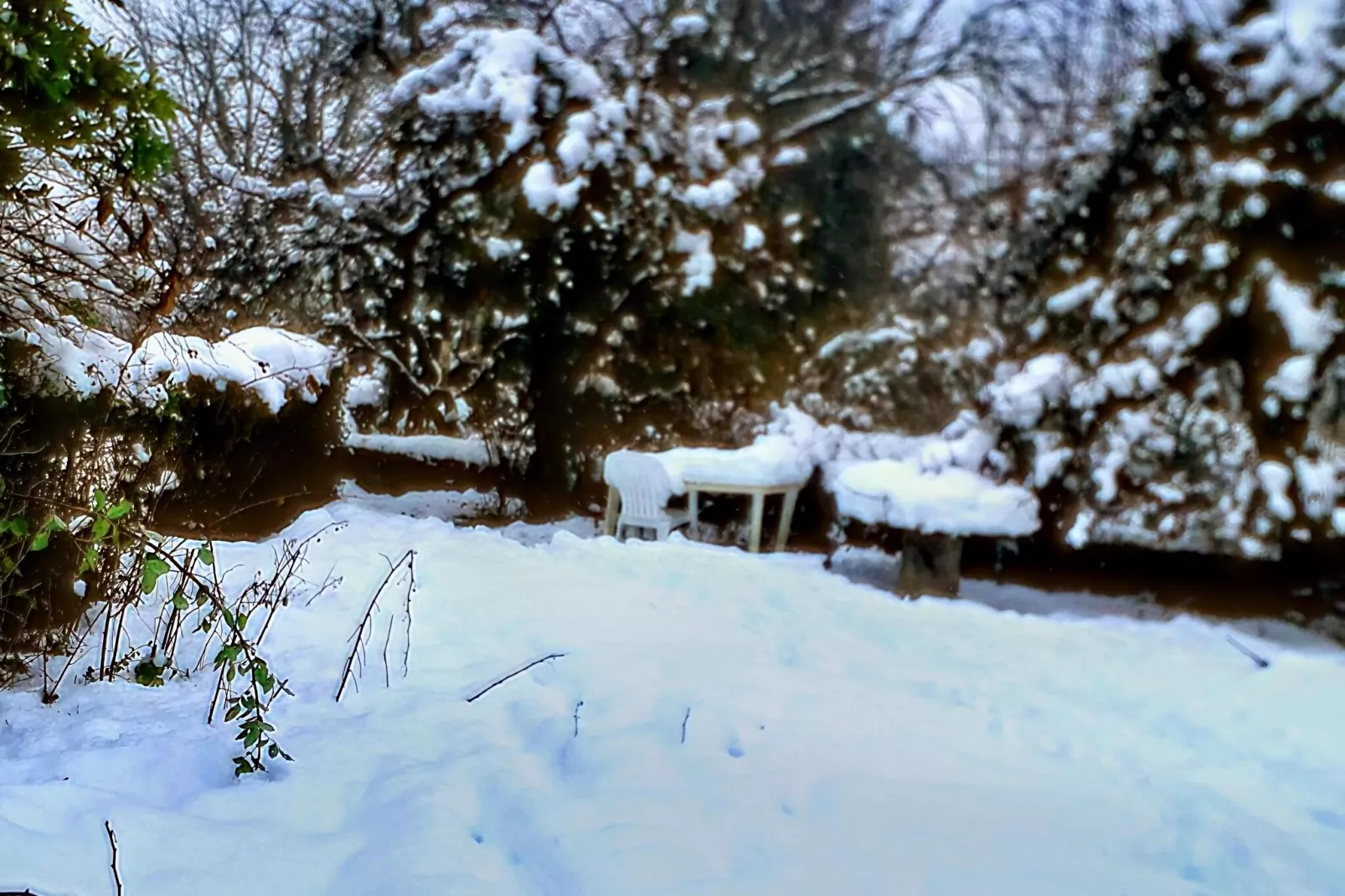 Petite Plaisance-Gebied winter 1km