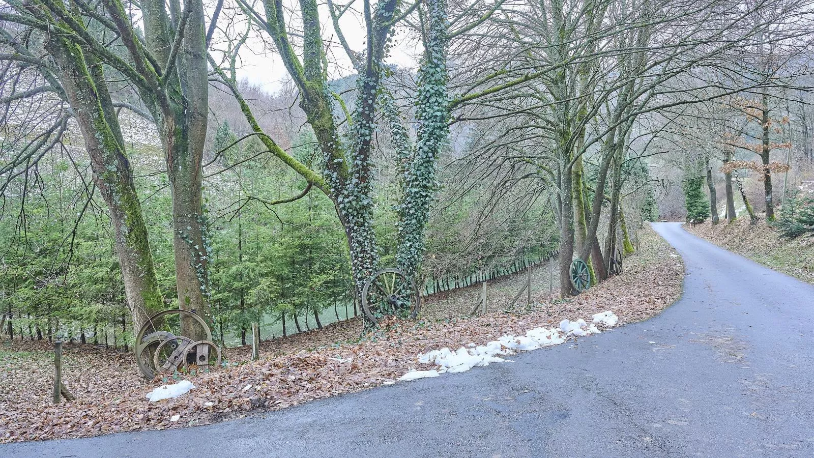 Am Damwildgehege II-Gebieden zomer 1km