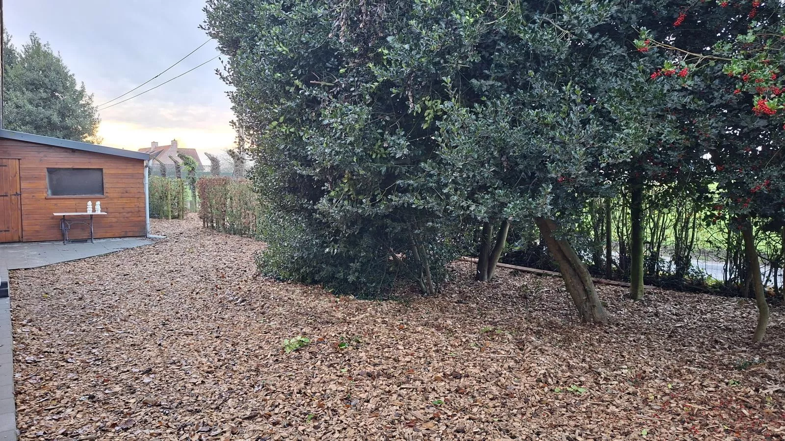 ZweveZalig-Tuin winter