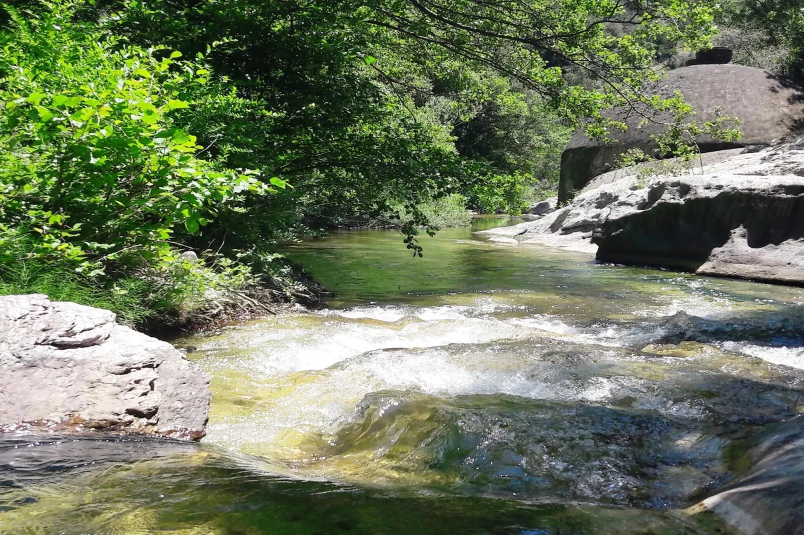 Bamboo-Gebieden zomer 5km