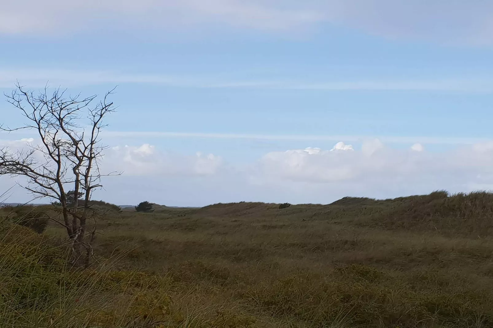 7 persoons vakantie huis in Jerup-By Traum-Niet-getagd