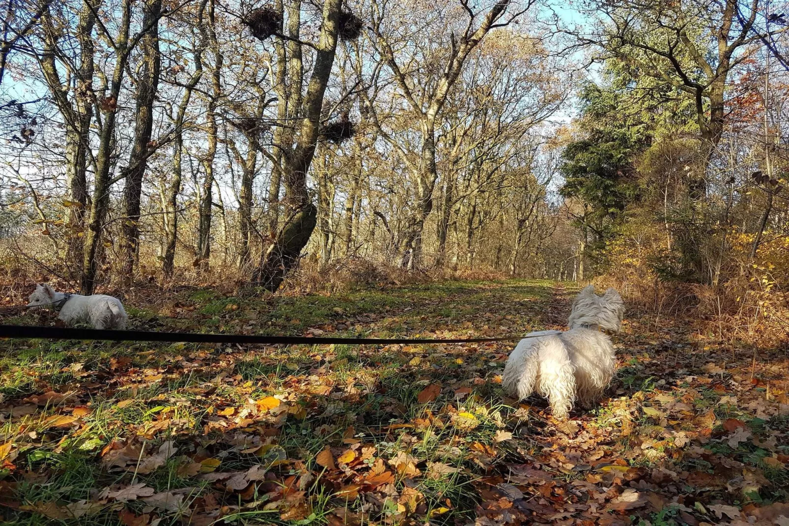 4 persoons vakantie huis in Toftlund-By Traum-Niet-getagd