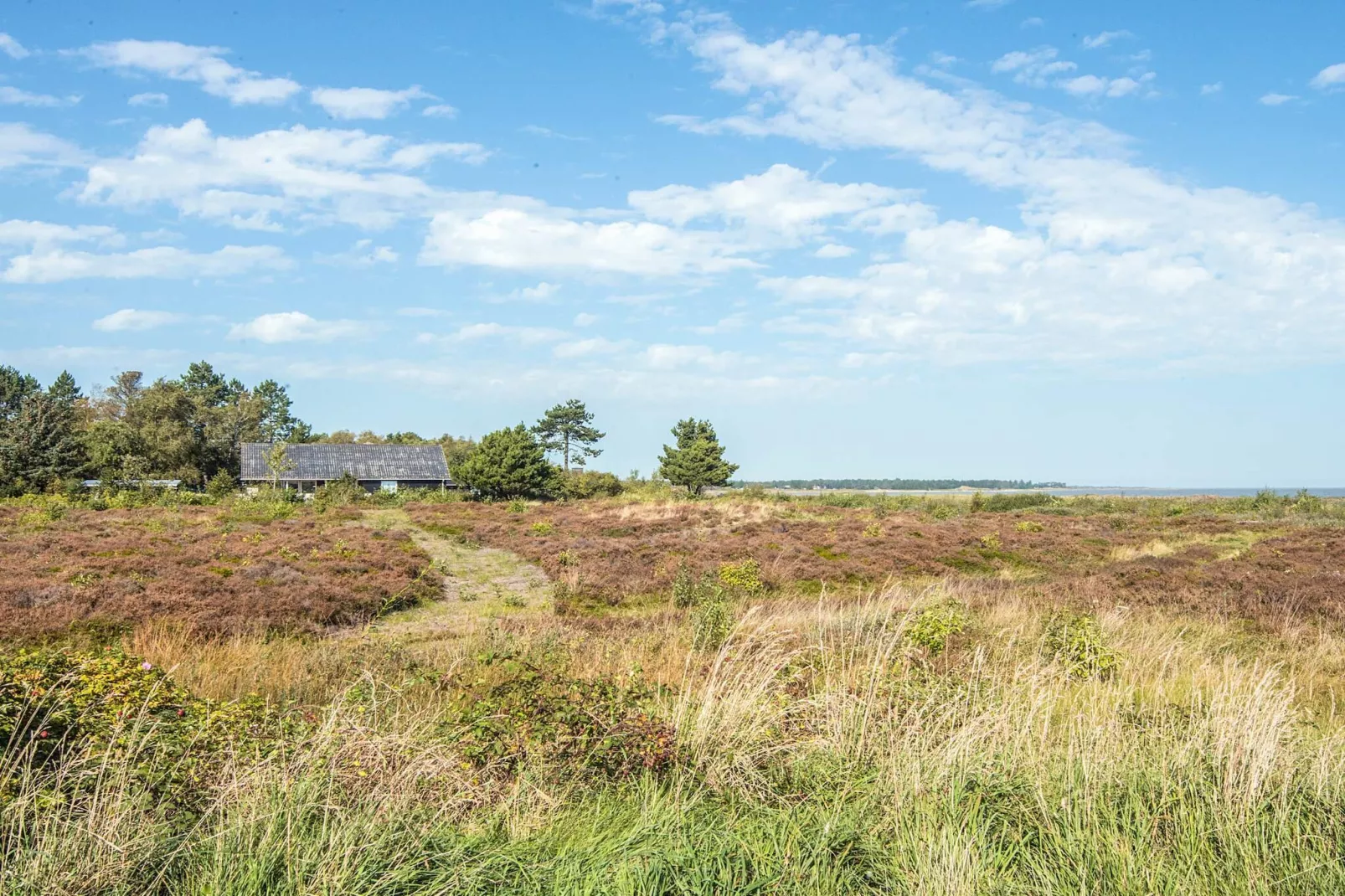4 Personen vakantie huis in Rømø-Niet-getagd