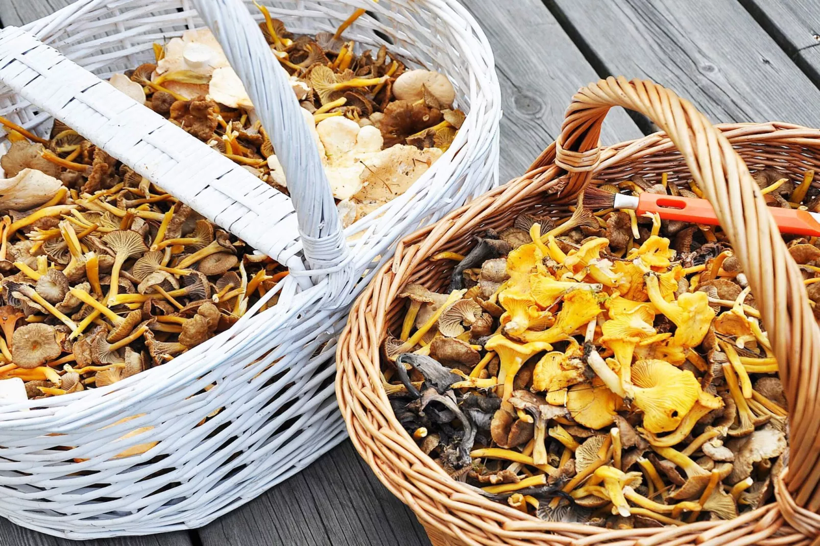 4 Personen vakantie huis in KODE-Buitenlucht