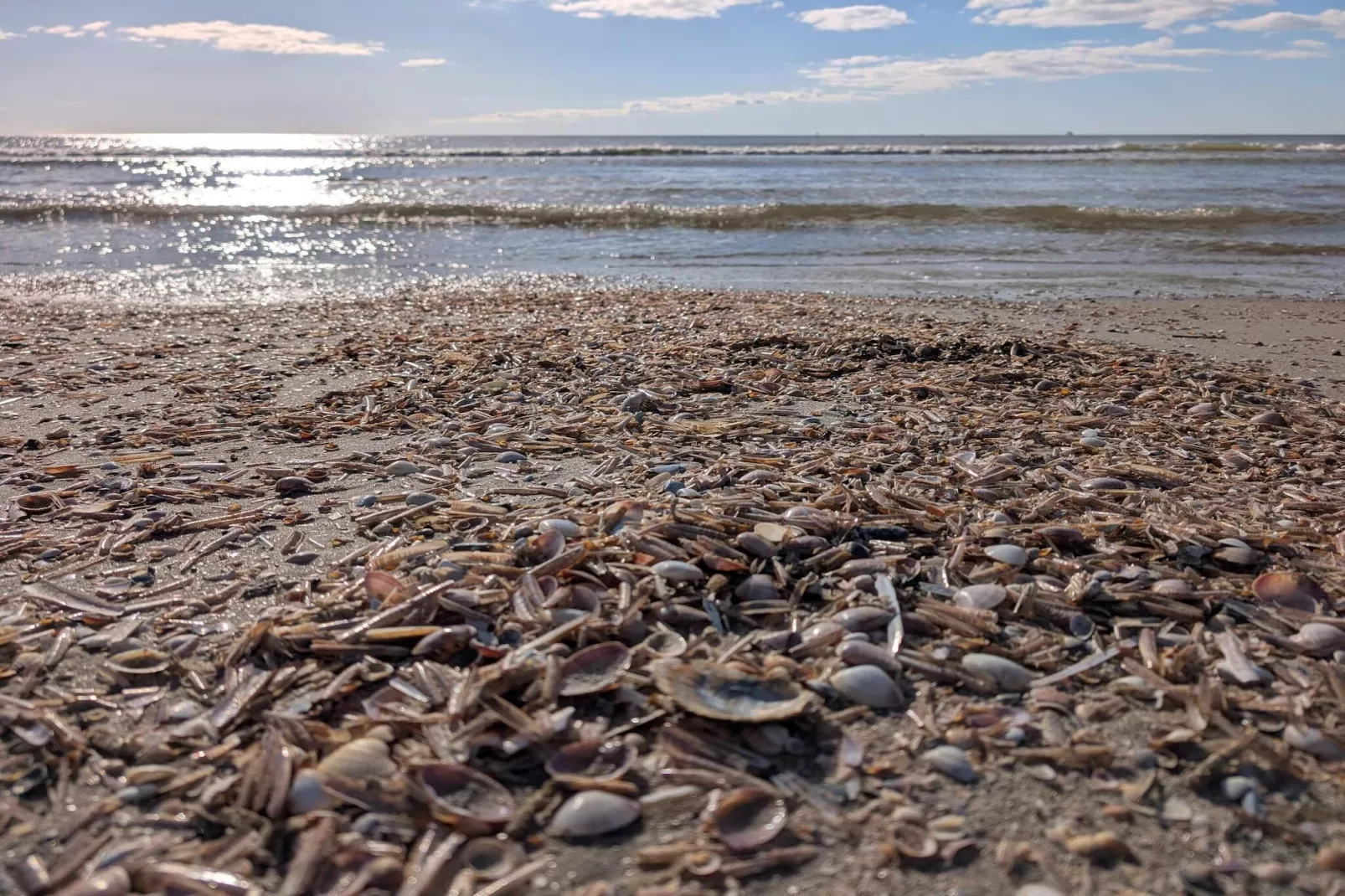 4 persoons vakantie huis in Fanø-By Traum-Waterzicht