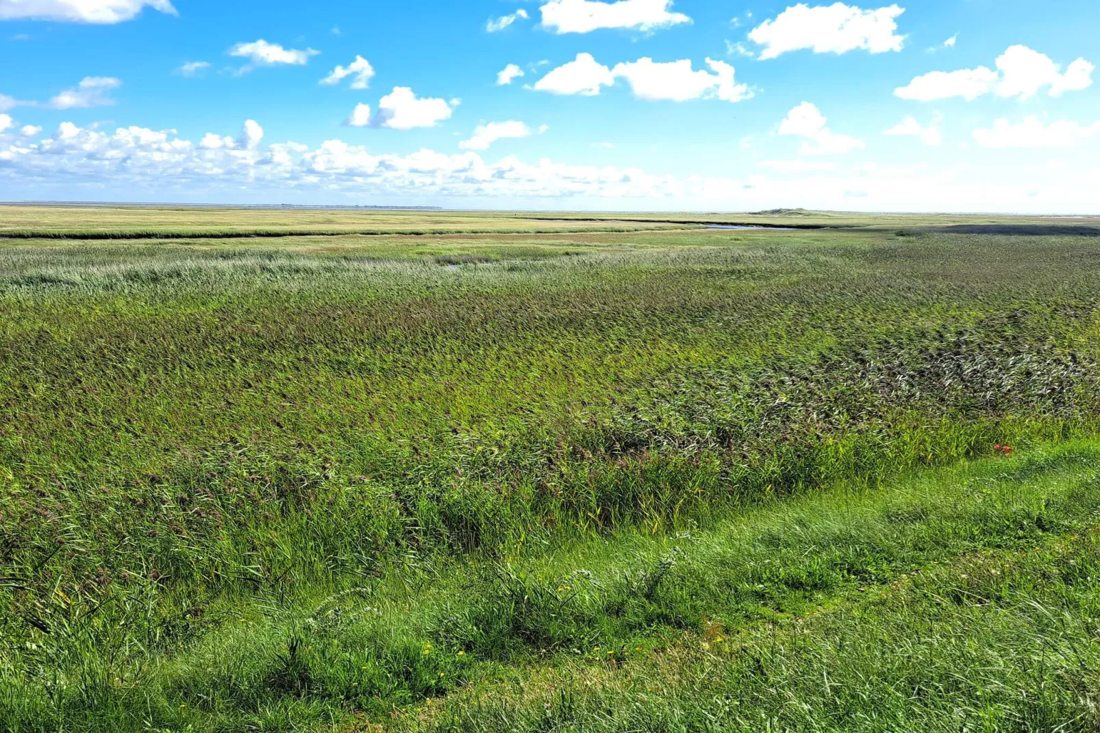 7 persoons vakantie huis in Fanø-By Traum-Niet-getagd