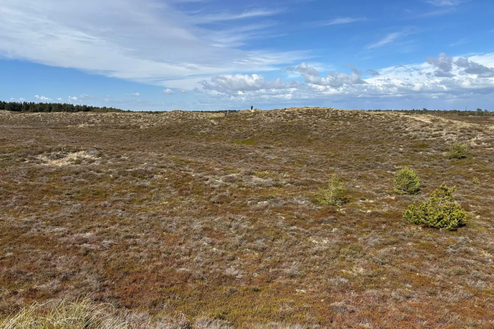 Rustig toevluchtsoord in Romo -- By Traum Ferienwohnungen-Niet-getagd