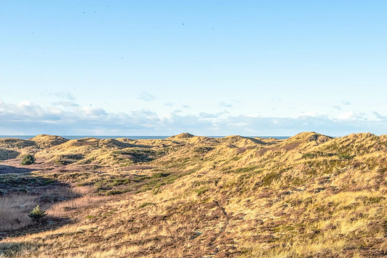 6 persoons vakantie huis in Henne-By Traum-Waterzicht