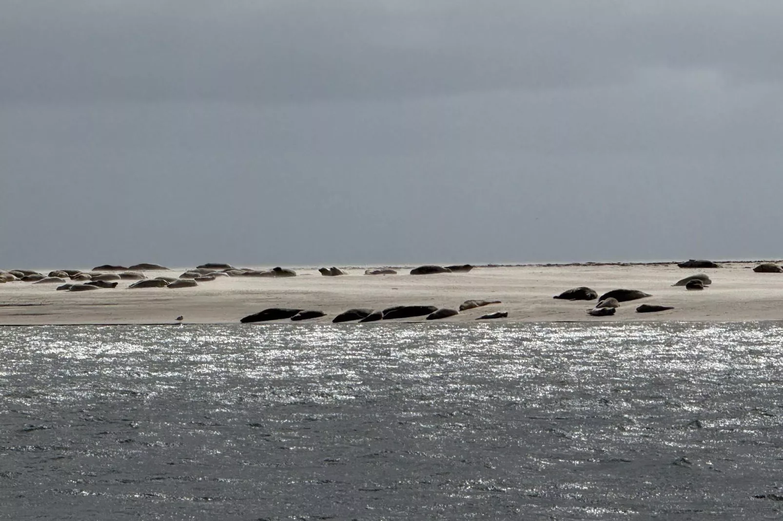 7 persoons vakantie huis in Fanø-By Traum-Waterzicht
