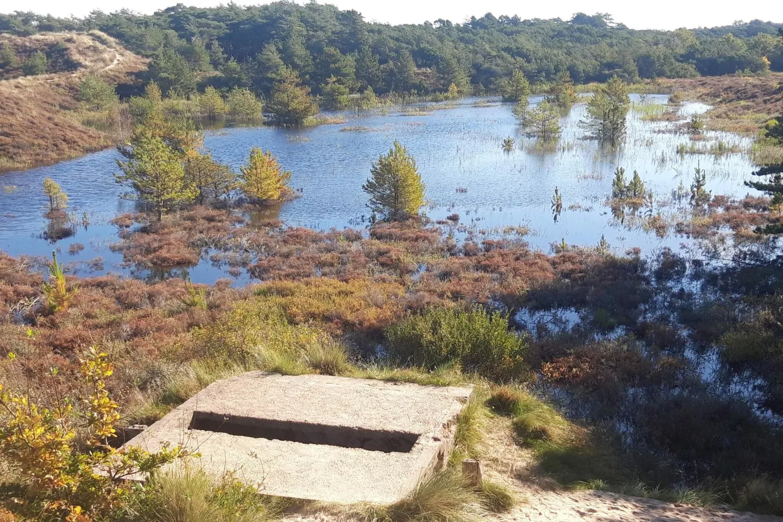 Rustig toevluchtsoord in Romo -- By Traum Ferienwohnungen-Waterzicht