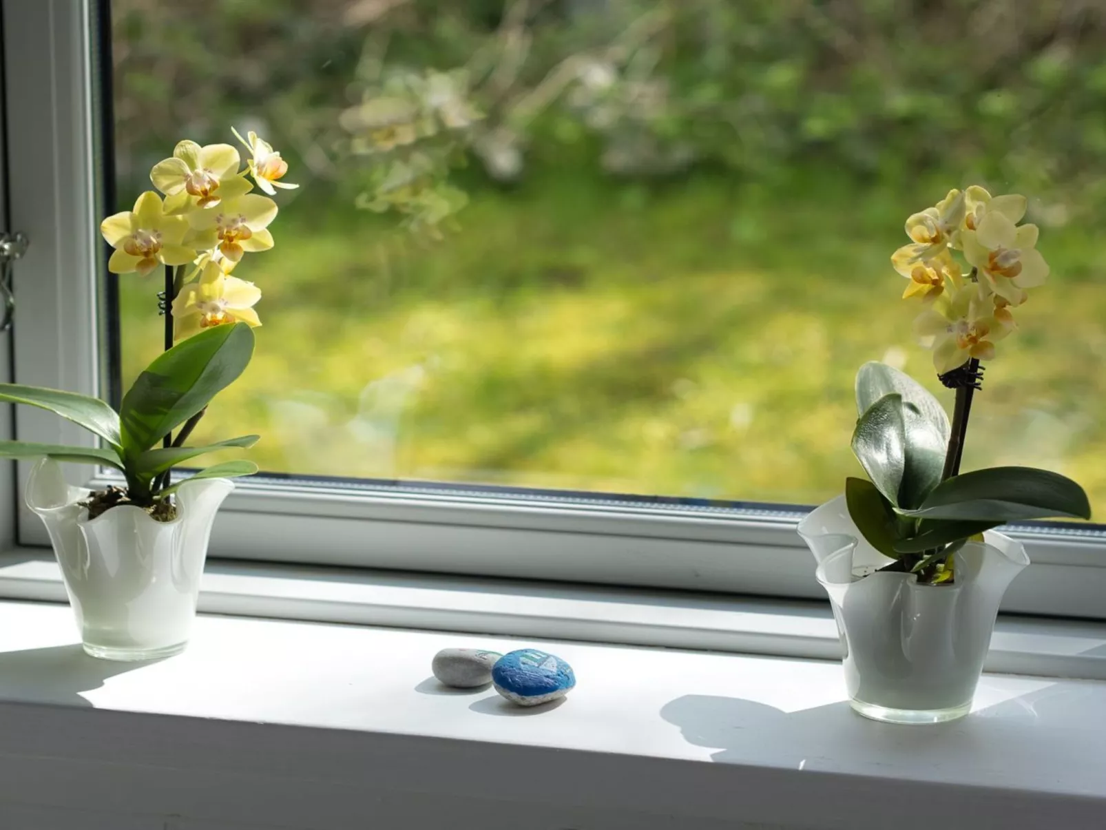 "Hilde" - 75m from the sea-Binnen