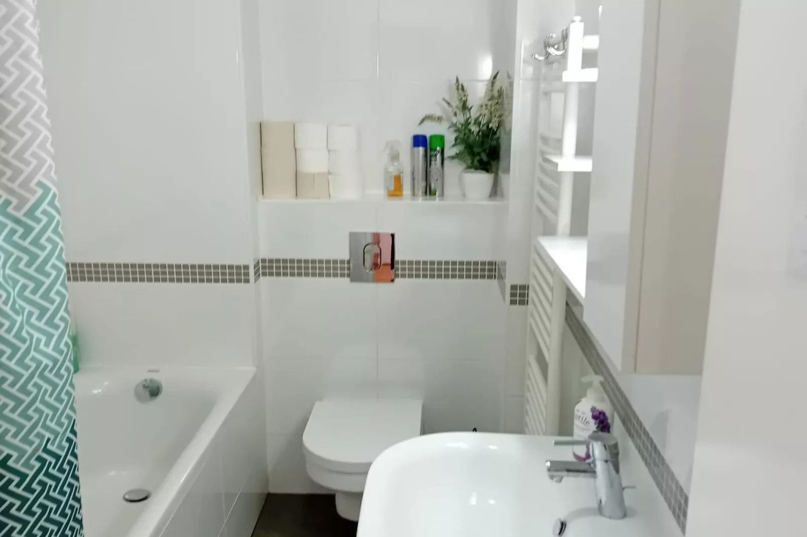 Apartments Cankareva-Badkamer