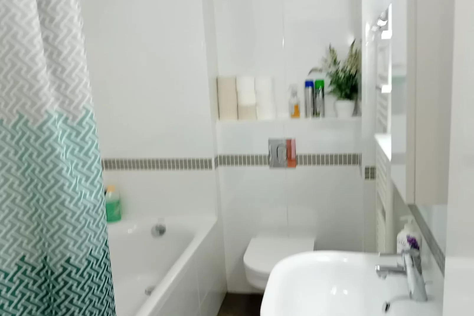 Apartments Cankareva-Badkamer