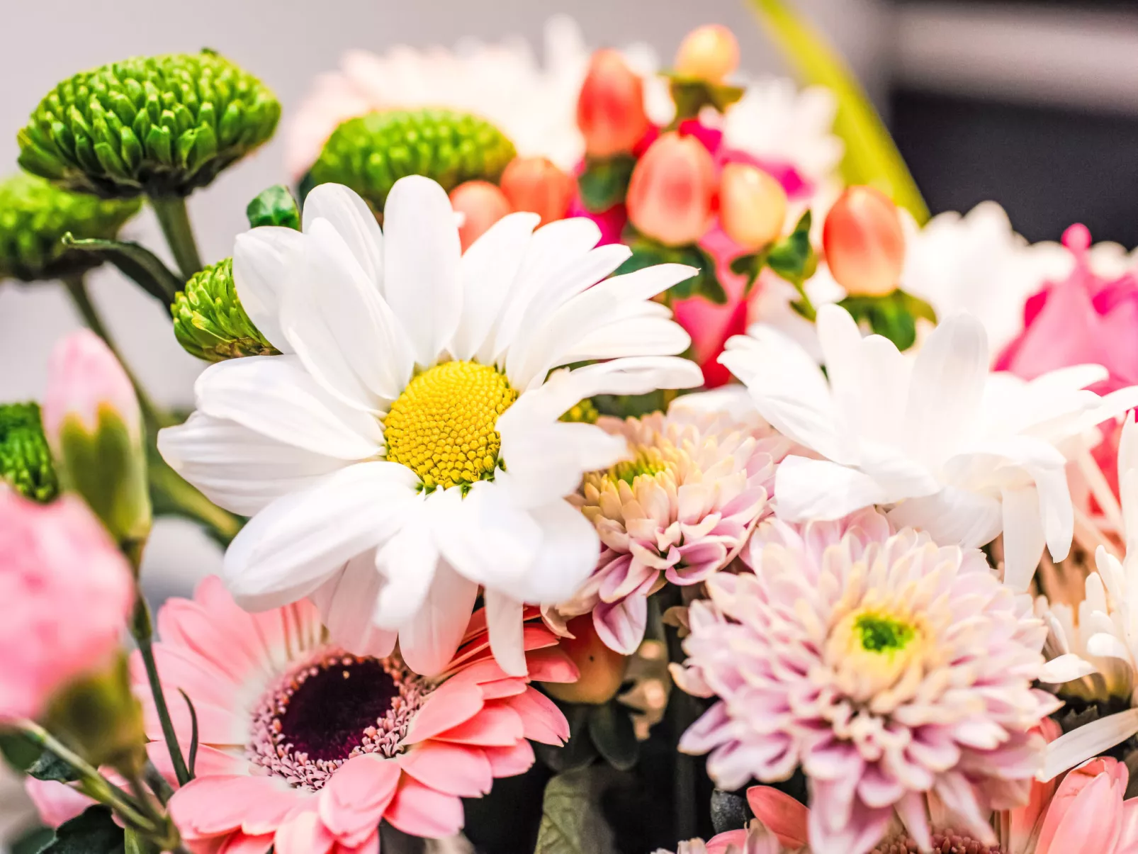 Fishertown Apartment-Buiten