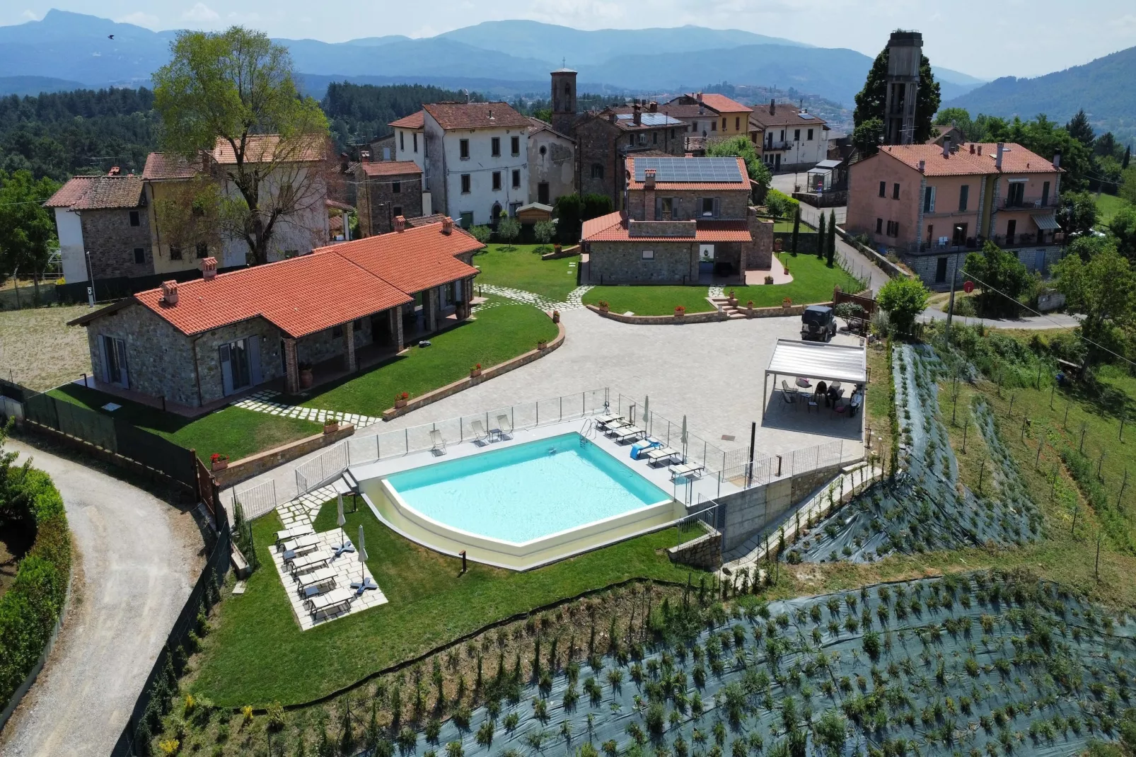 Primula-Buitenkant zomer