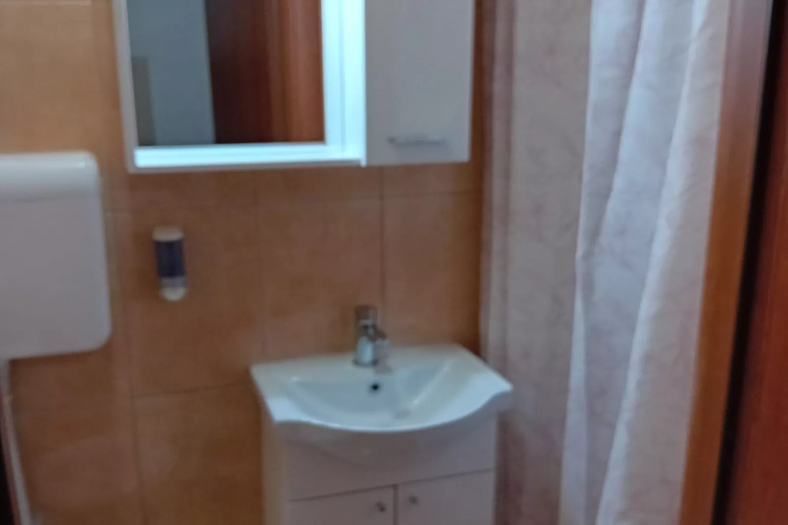 Apartments Petrova-Badkamer