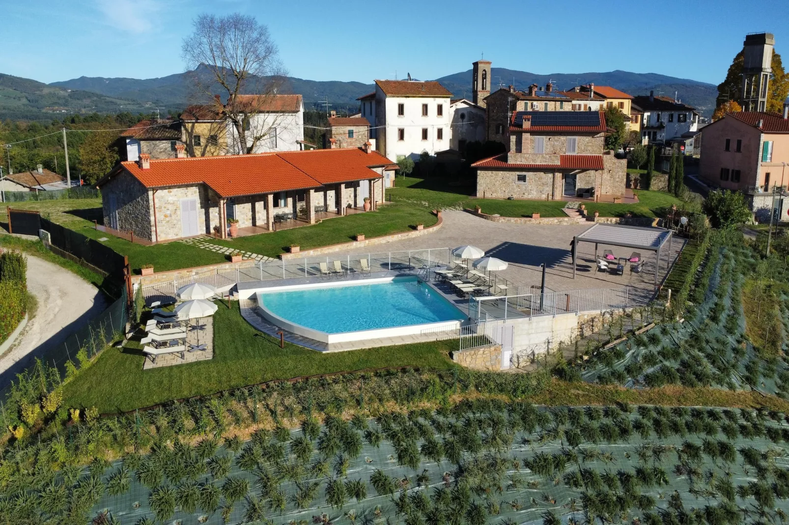 Orchidea-Buitenkant zomer