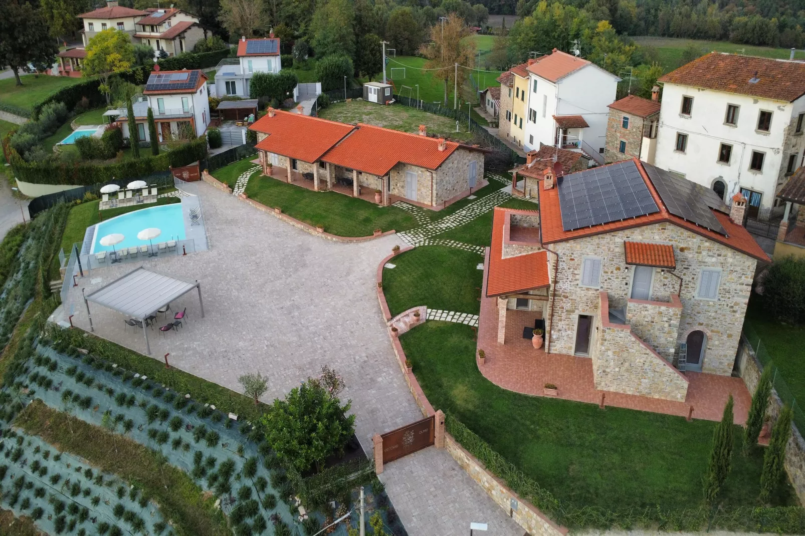 Primula-Buitenkant zomer