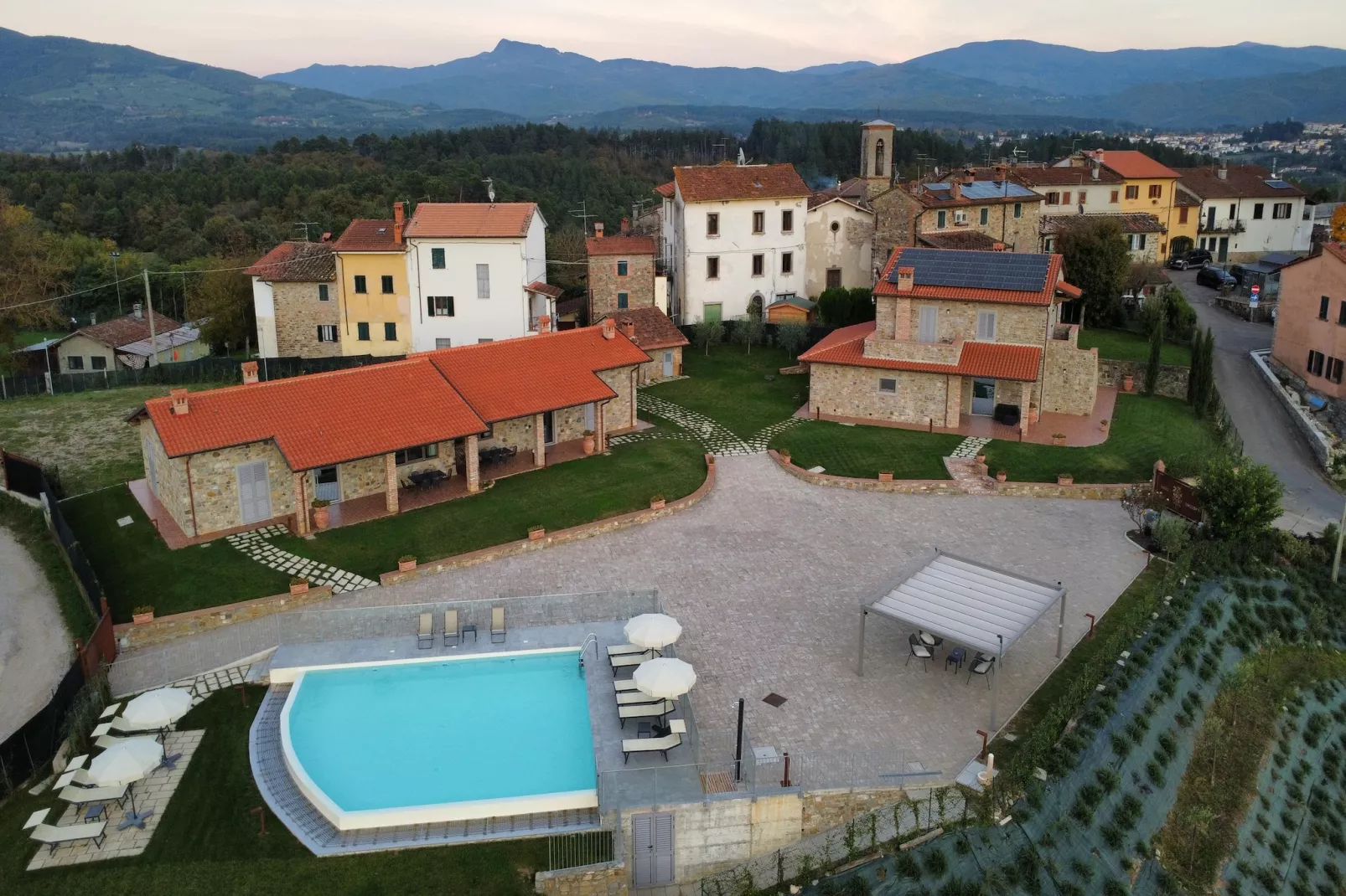 Primula-Buitenkant zomer