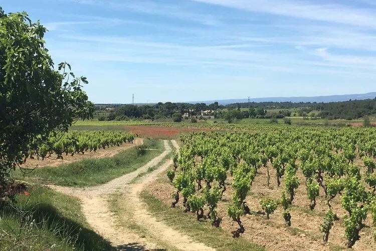 Villa Le Chardonnay-Gebieden zomer 20km