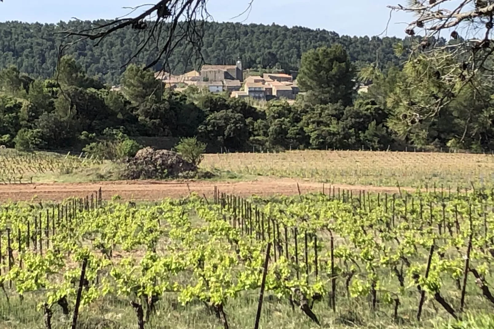 Villa le Syrah-Gebieden zomer 1km