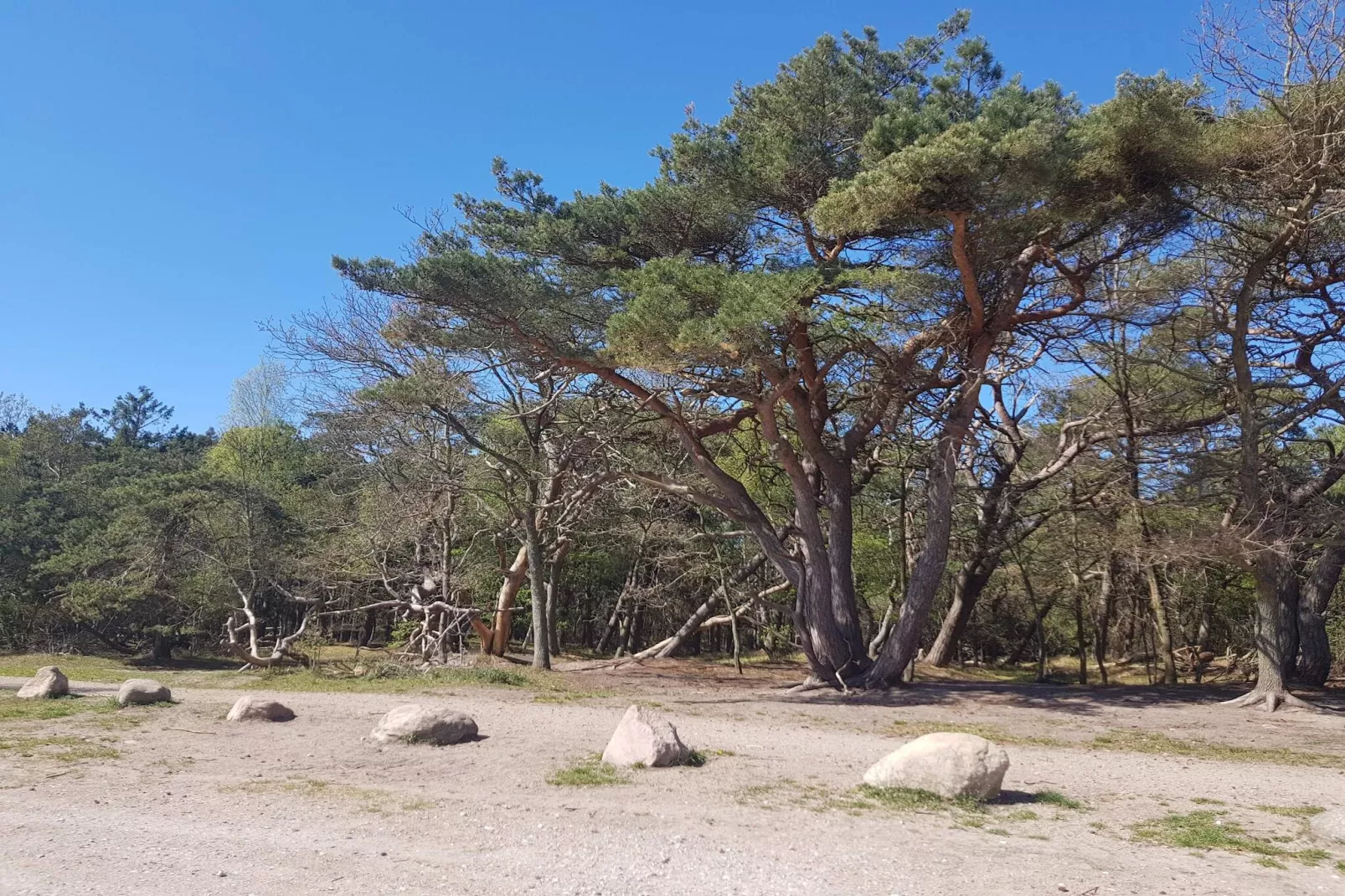 8 persoons vakantie huis in Frederiksværk-By Traum-Niet-getagd