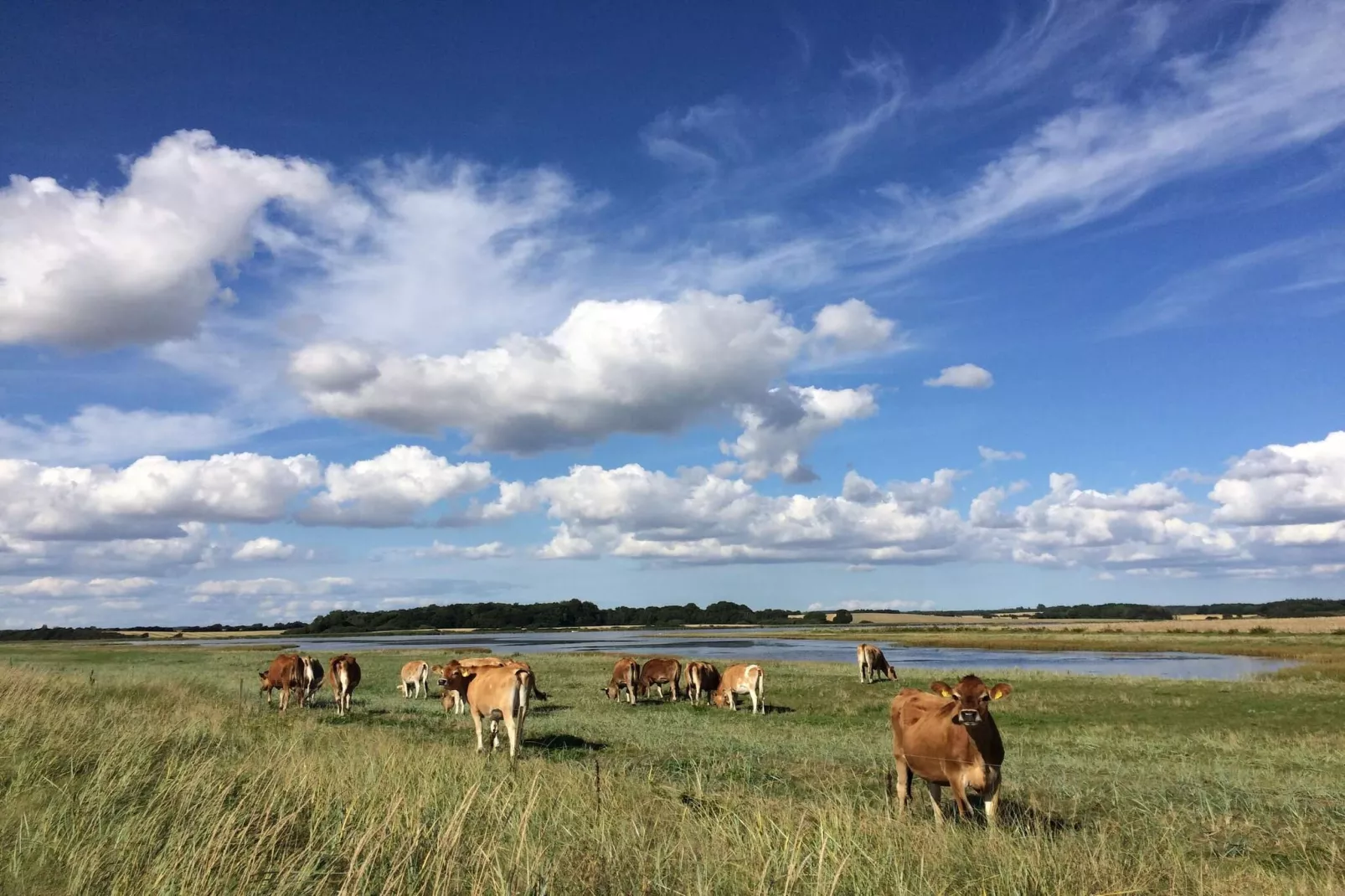Familie strandhuis -- By Traum Ferienwohnungen-Niet-getagd