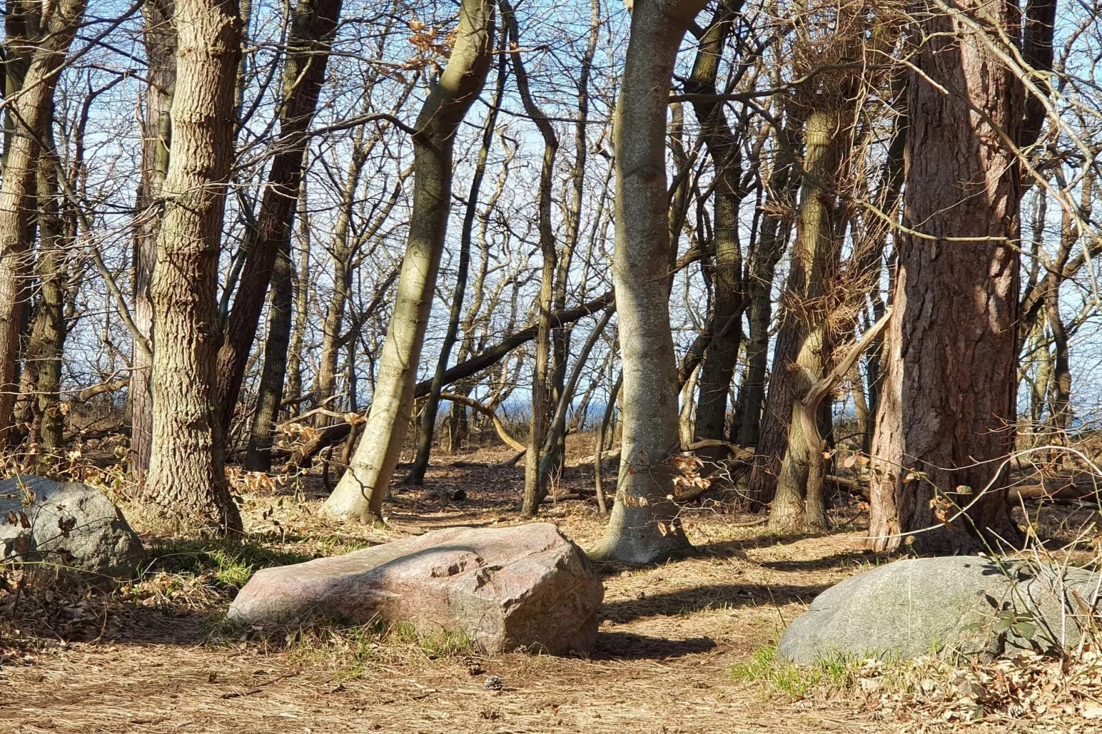 6 persoons vakantie huis in Asnæs-By Traum